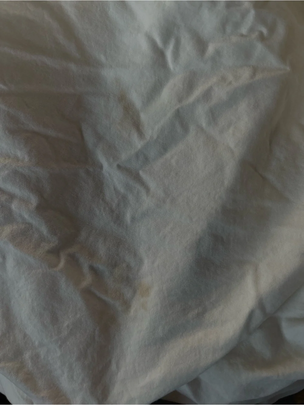 American Blossom Linens Sheet set queen